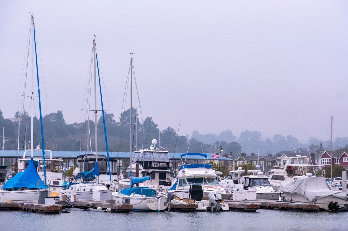 Sailing boats moored alongside a marina pontoon